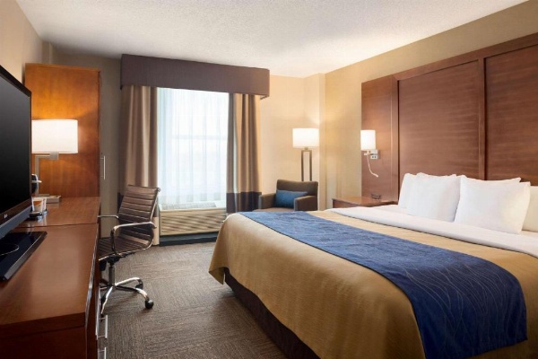 Comfort Inn & Suites Presidential image 9
